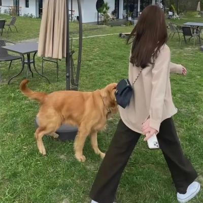 冒牌八仙之封妖镇